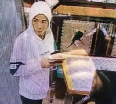 通辽市刑事案件嫌犯张立东在逃,该嫌疑人犯了什么罪?