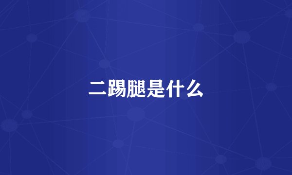 二踢腿是什么