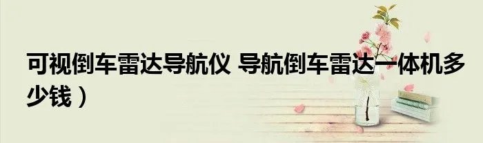 可视倒车雷达导航仪 导航倒车雷达一体机多少钱）