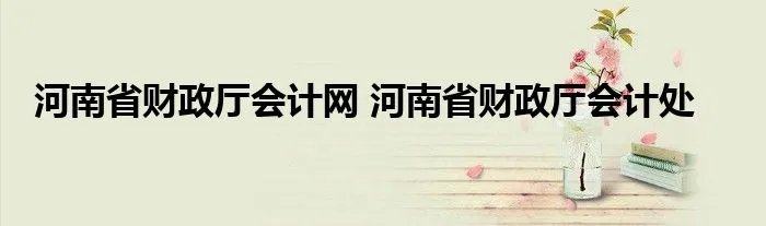 河南省财政厅会计网 河南省财政厅会计处