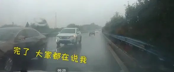 高速逆行引连环撞怎么处罚的？