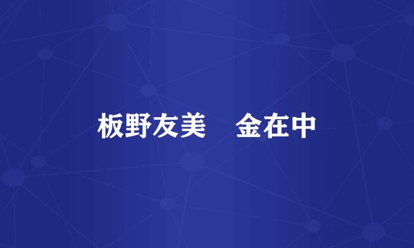 板野友美 金在中