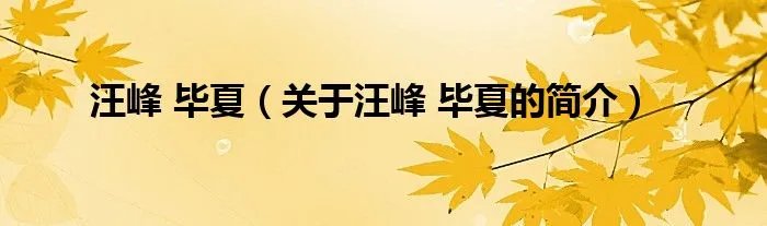 汪峰 毕夏（关于汪峰 毕夏的简介）