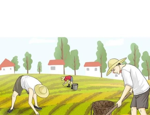 舒兰疫情后,现在农民种地怎么办?