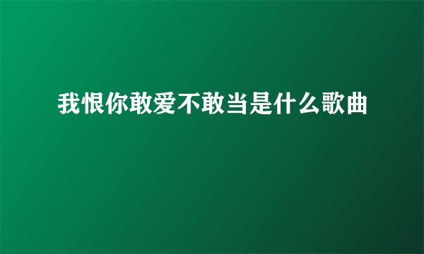 我恨你敢爱不敢当是什么歌曲