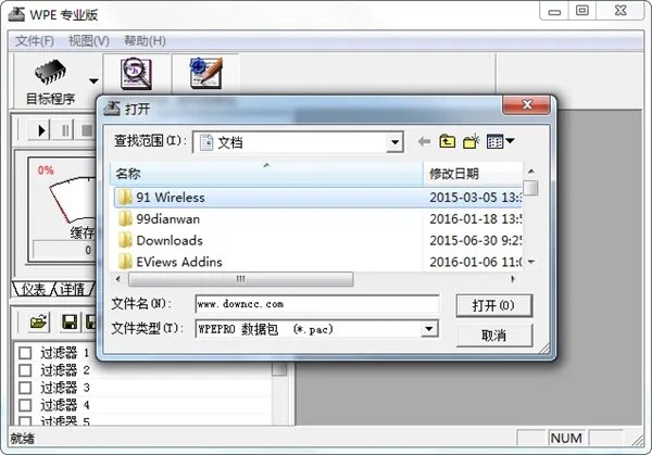 wpe专业版
