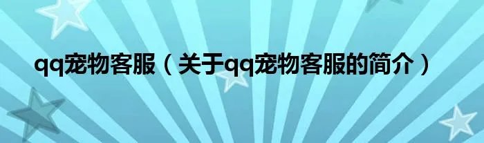 qq宠物客服（关于qq宠物客服的简介）