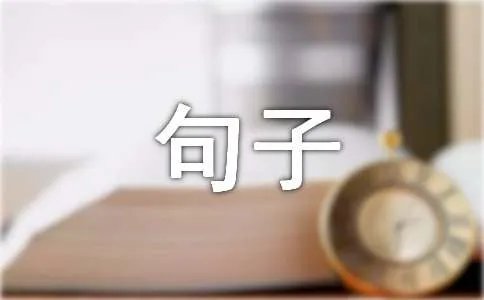 形容服务好的句子