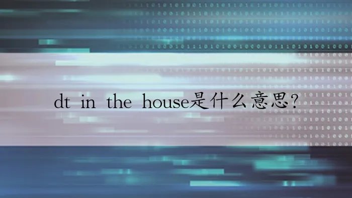dt in the house是什么意思?