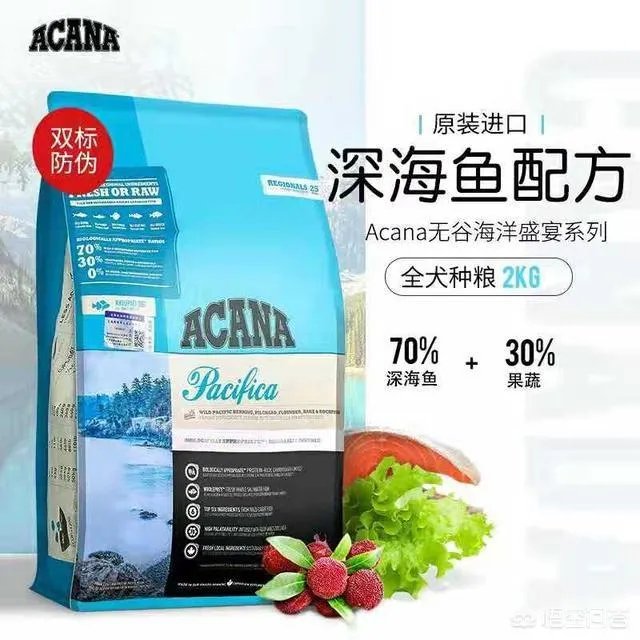 哈士奇吃什么狗粮好？