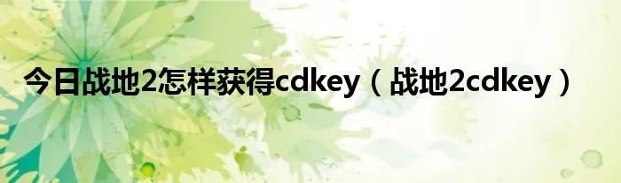 今日战地2怎样获得cdkey（战地2cdkey）