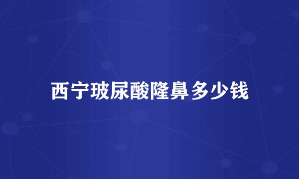 西宁玻尿酸隆鼻多少钱