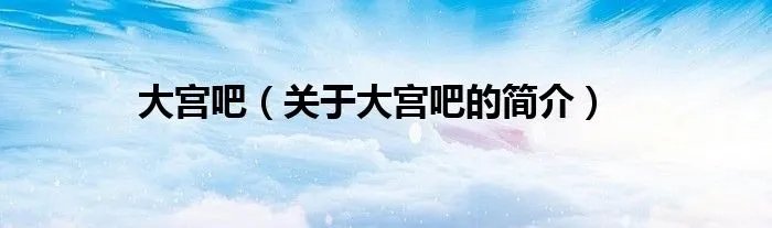 大宫吧（关于大宫吧的简介）