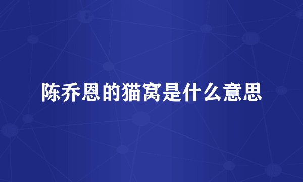 陈乔恩的猫窝是什么意思