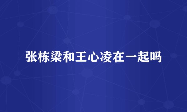 张栋梁和王心凌在一起吗