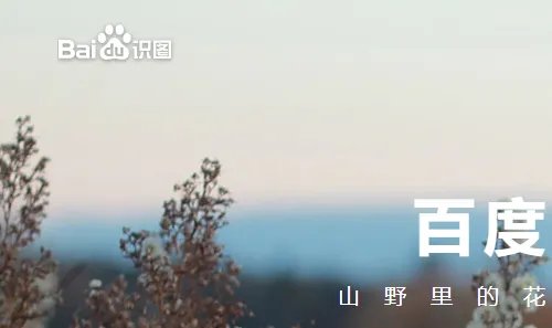 百度识图网页版入口
