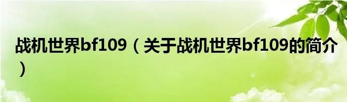 战机世界bf109（关于战机世界bf109的简介）