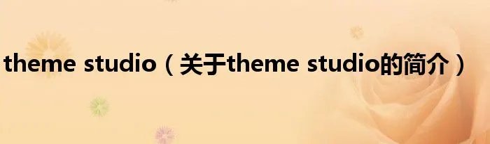 theme studio（关于theme studio的简介）