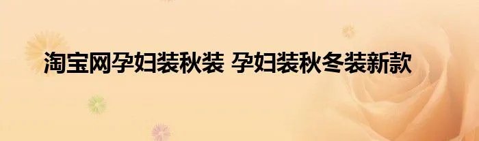 淘宝网孕妇装秋装 孕妇装秋冬装新款