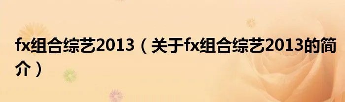 fx组合综艺2013（关于fx组合综艺2013的简介）