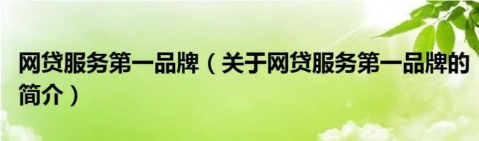 网贷服务第一品牌（关于网贷服务第一品牌的简介）