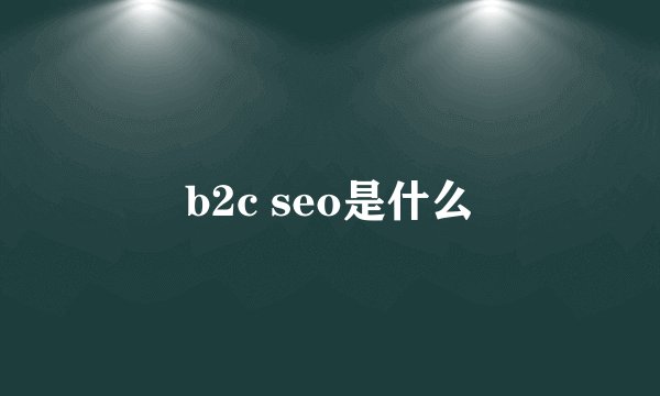 b2c seo是什么