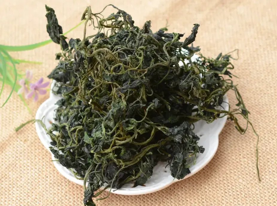 灰灰菜图片功效与作用,食用方法