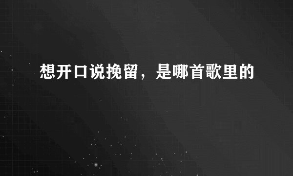 想开口说挽留，是哪首歌里的