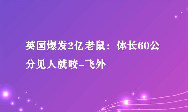 英国爆发2亿老鼠：体长60公分见人就咬-飞外