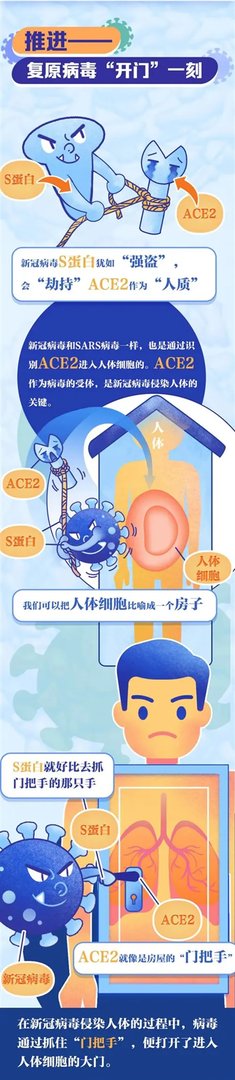 浙江第一批疫苗已产生抗体!揭秘新冠病毒侵染人体那一瞬间