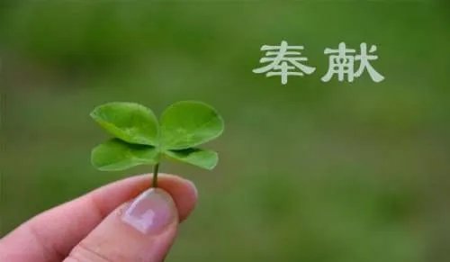 奉献的反义词