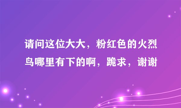 请问这位大大，粉红色的火烈鸟哪里有下的啊，跪求，谢谢