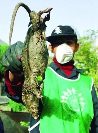 福岛核泄漏后变异女人:日本核辐射后的变异生物触目惊心