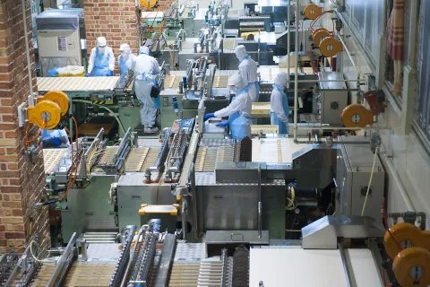 食品生产标准是指什么？