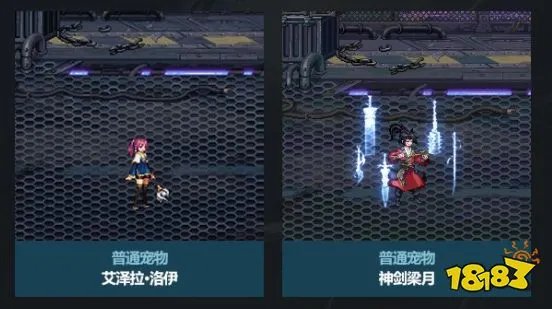 dnf2023春节套宠物属性一览