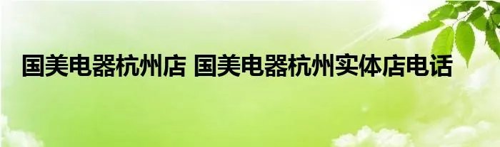 国美电器杭州店 国美电器杭州实体店电话