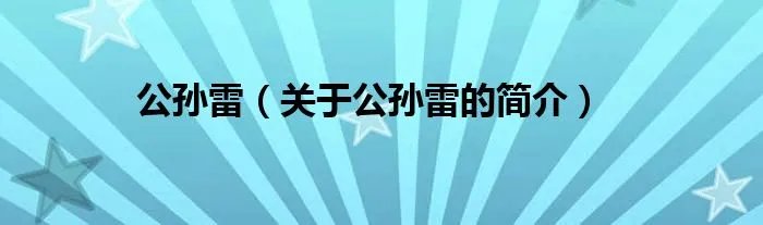 公孙雷（关于公孙雷的简介）