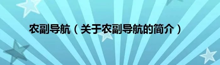 农副导航（关于农副导航的简介）