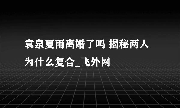袁泉夏雨离婚了吗 揭秘两人为什么复合_飞外网