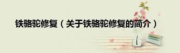 铁骆驼修复（关于铁骆驼修复的简介）