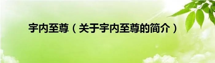 宇内至尊（关于宇内至尊的简介）