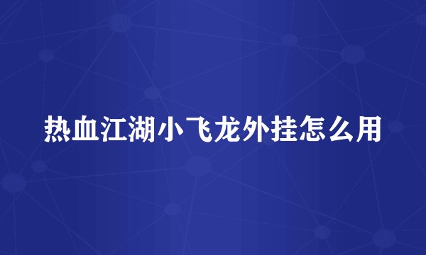 热血江湖小飞龙外挂怎么用