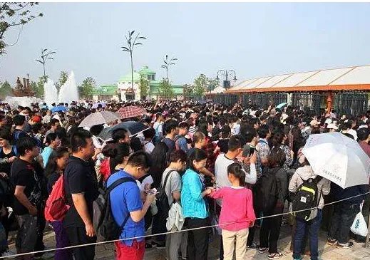上海兴起排队经济是什么原因?