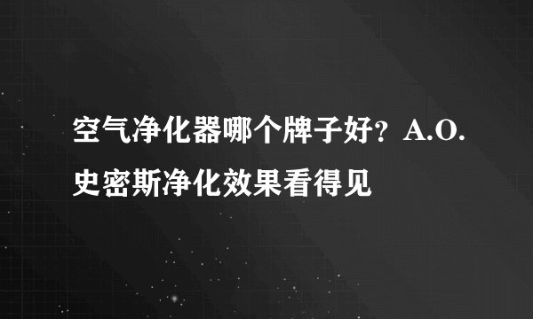 空气净化器哪个牌子好？A.O.史密斯净化效果看得见
