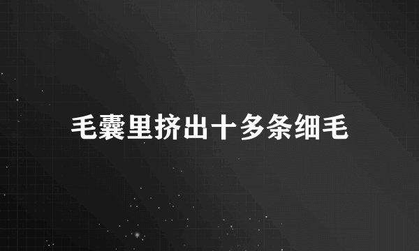 毛囊里挤出十多条细毛