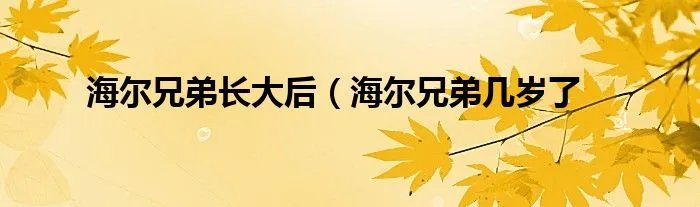海尔兄弟长大后（海尔兄弟几岁了