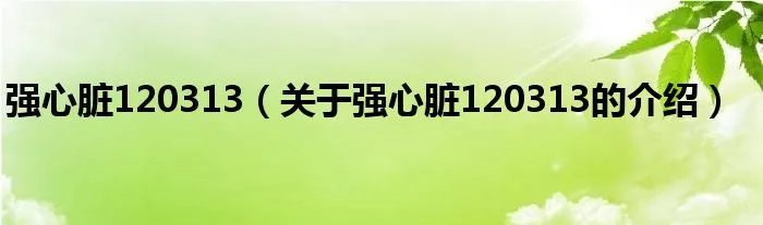 强心脏120313（关于强心脏120313的介绍）