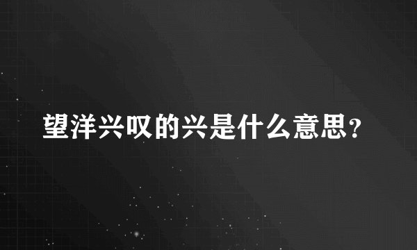 望洋兴叹的兴是什么意思?