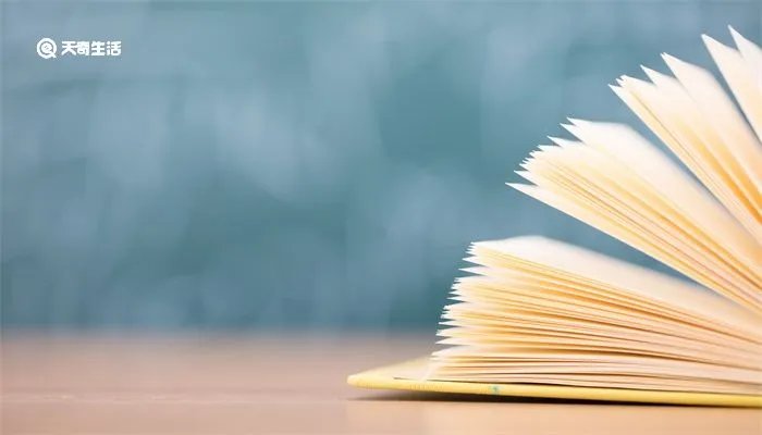 海派是什么意思