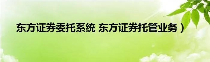 东方证券委托系统 东方证券托管业务）